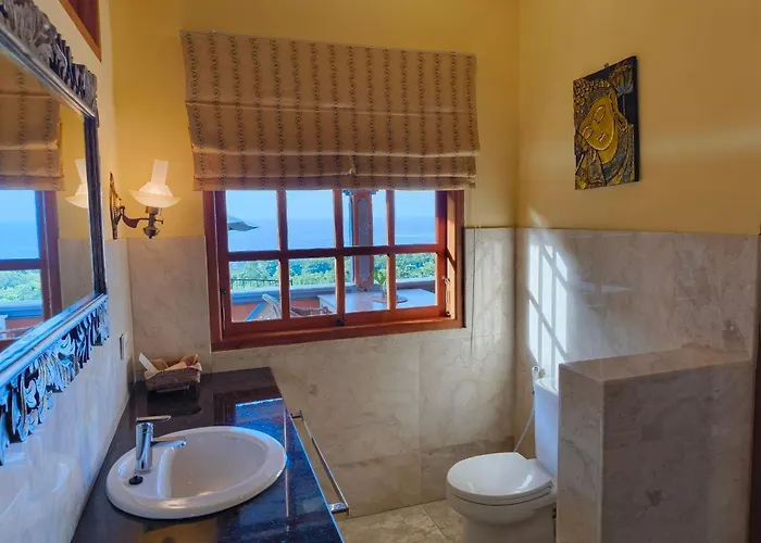 The Raja Singha Boutique Bali Lovina